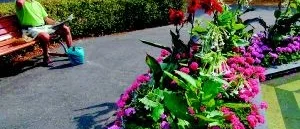 Besök Västervik en sommardag