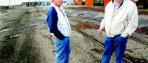 Lucerna mer konkurrenskraftig