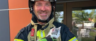 Fastklämd katt fick hjälp – Misstänkt villabrand – Tidig revelj för brandmännen