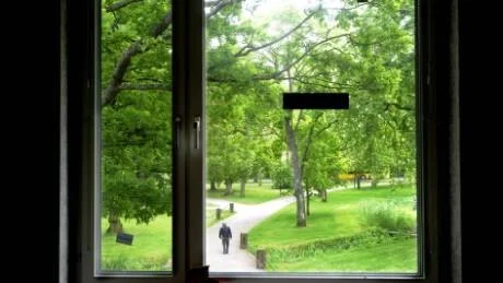 Utsikten från arbetsrummen mot Stadsparken blir som en naturskön målning.