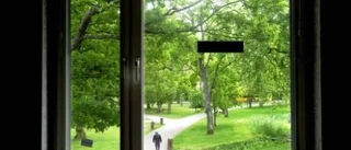 Glaspartier i nya nämndhuset ger bra arbetsmiljö åt politiker