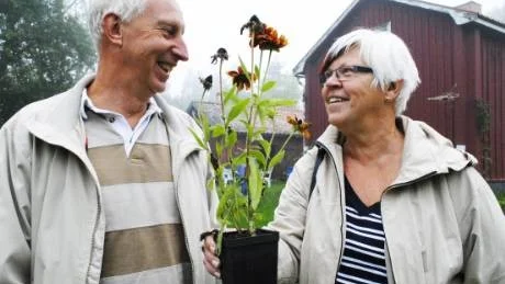 Jan Linder och Gunnel Melin från Västervik hittade en Rudbeckia hos Anders Johansson i Kålåker.