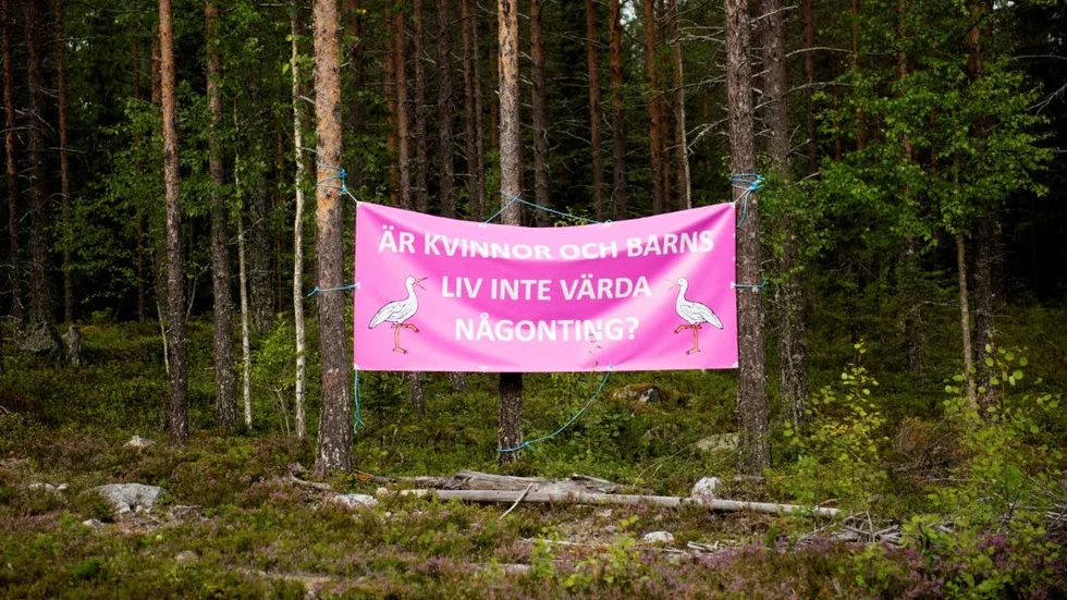 Lokala sakfrågor, som BB-nedläggningen i Sollefteå,  har fått större uppmärksamhet i året val.
