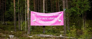 Lokalpolitiken förtjänar uppmärksamhet