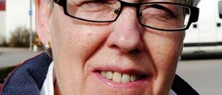 Frågan/Ska vi ha euro eller krona i Sverige?