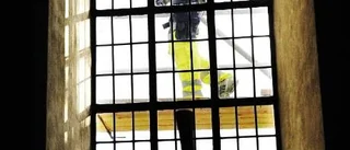 S:ta Gertrud en gnistrande pärla