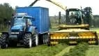Den stora majshacken kan också användas för att plocka upp slagen vall som ligger i prydliga strängar. När taktorvagnen är fylld kommer en annan traktor med en tom vagn. Det går i en rasande fart.