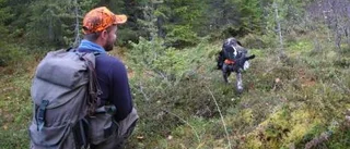 Goda år väntar i fågelskogen