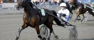 Årets tionde seger