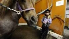 TIDIGT. Det ska läras i tidig ålder att förbereda hästen inför ridning. Jenny Eriksson, 5 år, tränsade Bullen inför passet.
