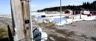 Hamnglädje i Brändön