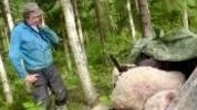 BEDRÖVAD. Leif Liikamaa har mist nio av sina får. "Två av dem skulle snart lamma. Det känns förjäkligt", säger han. FOTO: GÖRAN LAHTI