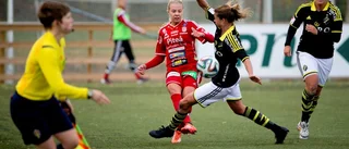Nyförvärvet målade i återkomsten