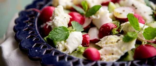 Sallad – sommarens ljuva melodi