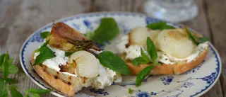 Tid för aromatiska gröna växter