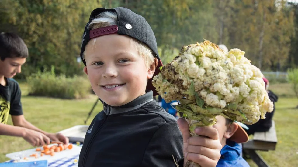 Blomkålsbukett. Noah Widmark visar upp en stor härlig blomkålsbukett.