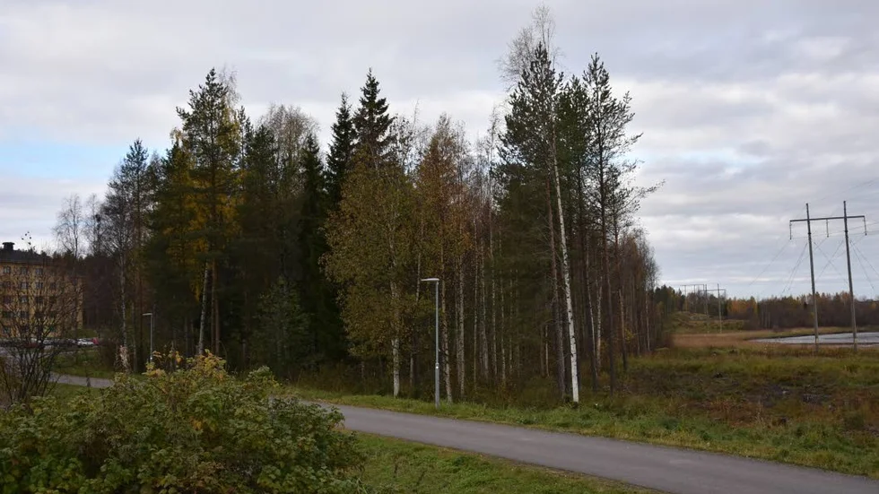 Byggläge. Om man fortsätter att bygga ut Klintbacken i riktning Porsön då bygger man här.