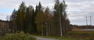 De har stora byggplaner i Luleå