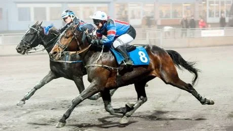 Vinnare. Bronx Sisu och Erica Guldhag presterade en perfekt ritt. Foto: Karl-William Sandström