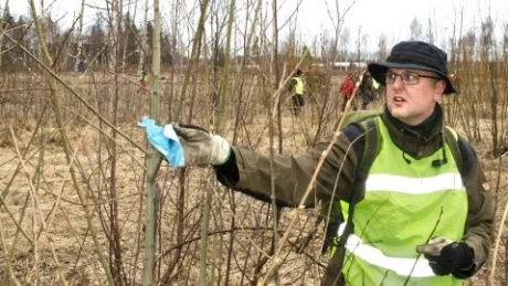Martin Hedberg, Boden, tar ner en snitsel som markerar området som söks av. Foto: Håkan Zerpe