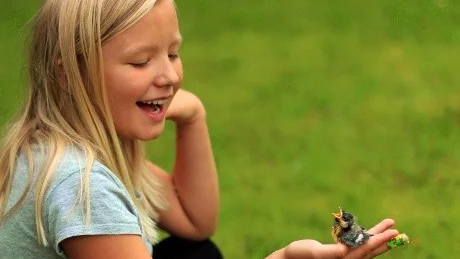 Örjan Nordmark har fotograferat barnbarnet Ella med en fågel i sin hand. Fågeln som fanns på tomten har nyss blivit ringmärkt. För bilden får hand vårt förstapris.