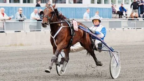 Första. Lars Marklund smålog i sulkyn bakom Cool Hall efter att ha tagit sin första seger för året som kusk.Foto: Jens Bäckström