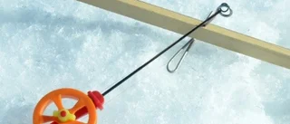 Poppis att pimpla i vårsolens glans