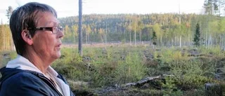 Bybor protesterar mot stor bergtäkt
