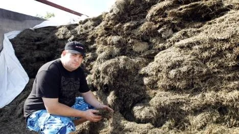 Ungefär 95 procent av allt hö på gården består av ensilage. Enligt Thomas Johansson är det smartare rent logiskt med ensilage eftersom det tar mindre plats.