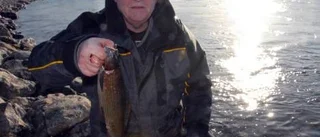 Fisk och fiskare bojkottade strömmarna