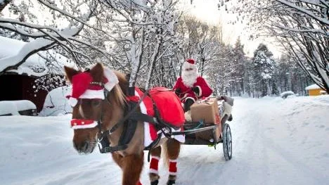 Det här är andra året som shetlandsponnyn Bella får följa med på julklappsutdelning, och hon sköter uppgiften med att dra vagnen galant.