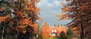 Detaljplan förhindrar att Kvarteret Skogen säljs