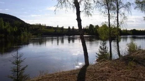Läget i Piteälven vid Älvsbyn en söndag morgon.