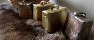 Egnahem med en förnimmelse av fjällkoja