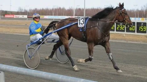 Mäktige Swift Triumph lekte hem tredje raka segern när han gjorde sitt som storfavorit i Maystayern, V5-2. Umåkersproffset Krister Söderholm satt i sulkyn.