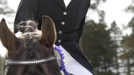 Erika Viklund och Days-Son TS, Grans Rid och Körsällskap, blev Best in Show i Kalix. (Arkivbild)