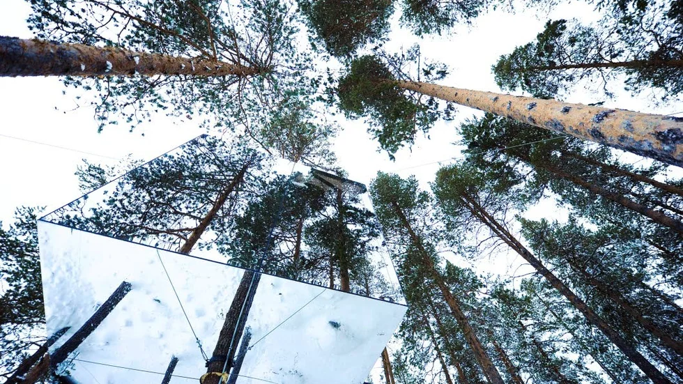 Natur. Spegelklädda rummet The Mirrorcube försvinner in i naturen.