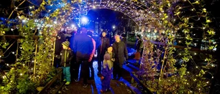 Årets Ljusfestival blev en efterlängtad succé