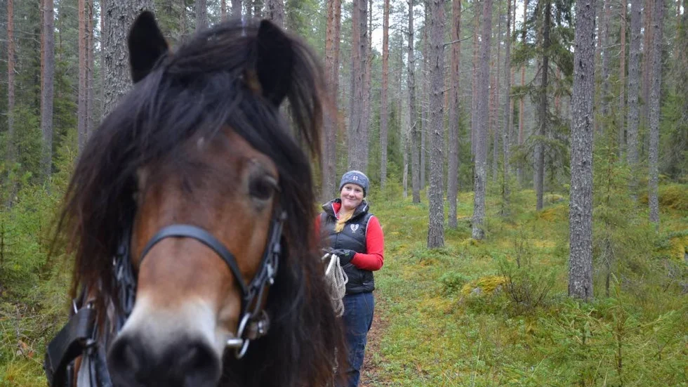 Kul. Elsa Lindbäck har vuxit upp bland hästar och håller på med dem dagligen.