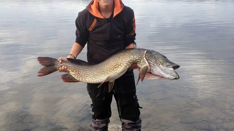 Fin gädda 2014: Den fick Isac Kreku, Luleå i den sista etappen av Fiske-DM. Gäddan vägder 10,3 kilo.