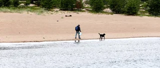 Regn och kyla är årets sommarplåga