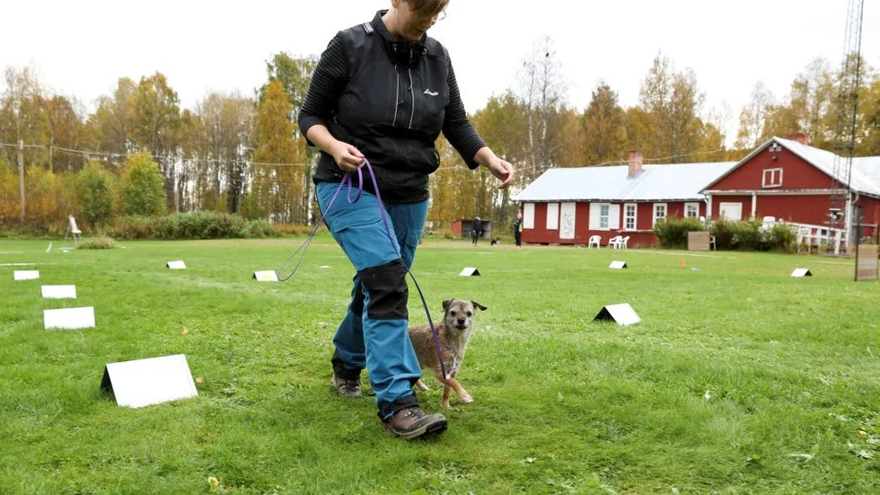En vinnares stil. Älva kom överst på prispallen i sin klass, till glädje för matte Linnea Lundberg, ordförande i Bodens brukshundklubb.