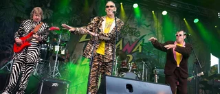 Recension: Tigern, Little-Arne och Zebran kan än