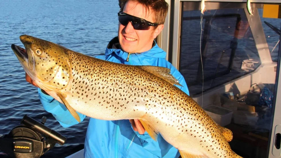 Jagar storöring. Ingemar Olsson i Laxforsen utanför Kiruna är en riktig proffsfiskare med egen trollingbåt. Den här granna öringen drog han upp ur Stora Lulevatten vid Porjus. Den vägde hela 6925 gram och då tar han förstås ledningen i Fiske-DM. Efter vägning och foto fick den simma vidare, och bli ännu större.
