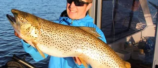 Drömöringen gav Ingemar smak på mästartiteln