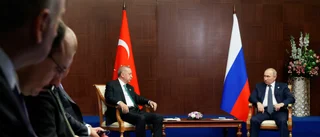 Idel positiva ord mellan Erdogan och Putin