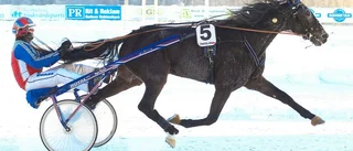 Välfyllda lunchfält på Bodentravet