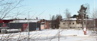Två nya hus kan hamna på Leken