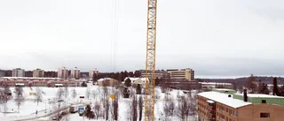 Framgång när Piteå växer uppåt