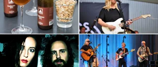 Gotländska artisternas krav för att inta scenen • Öl, nötter, lotter och sällskapsspel – men nej tack till pommes frites
